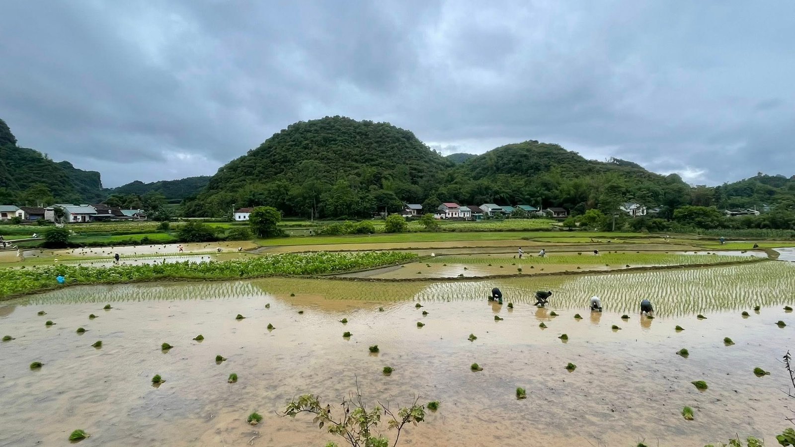 High-End Cycling Holidays in Vietnam: A Luxury Escape